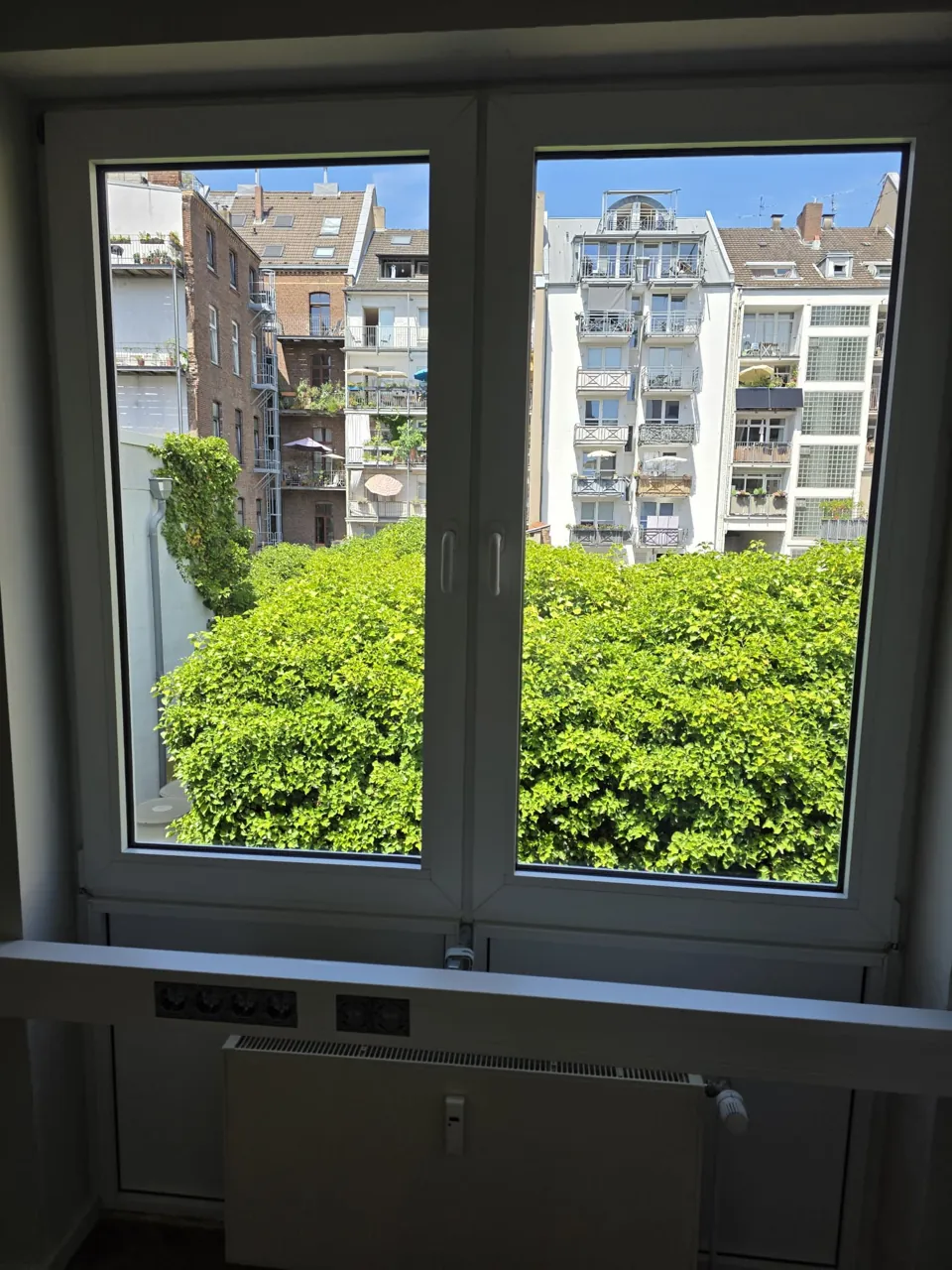 Streifenfrei gereinigtes Fenster mit Blick ins Grüne
